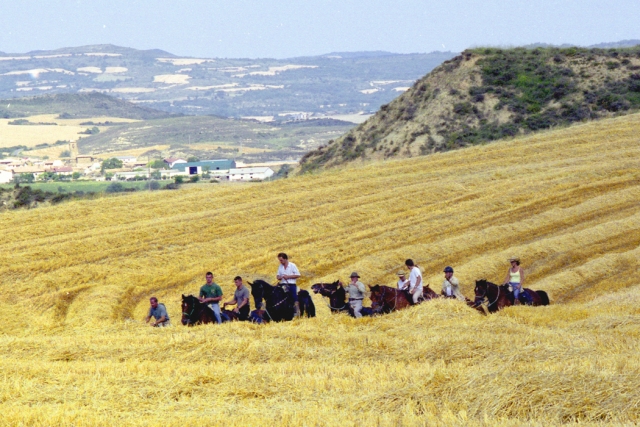  Los Monegros 